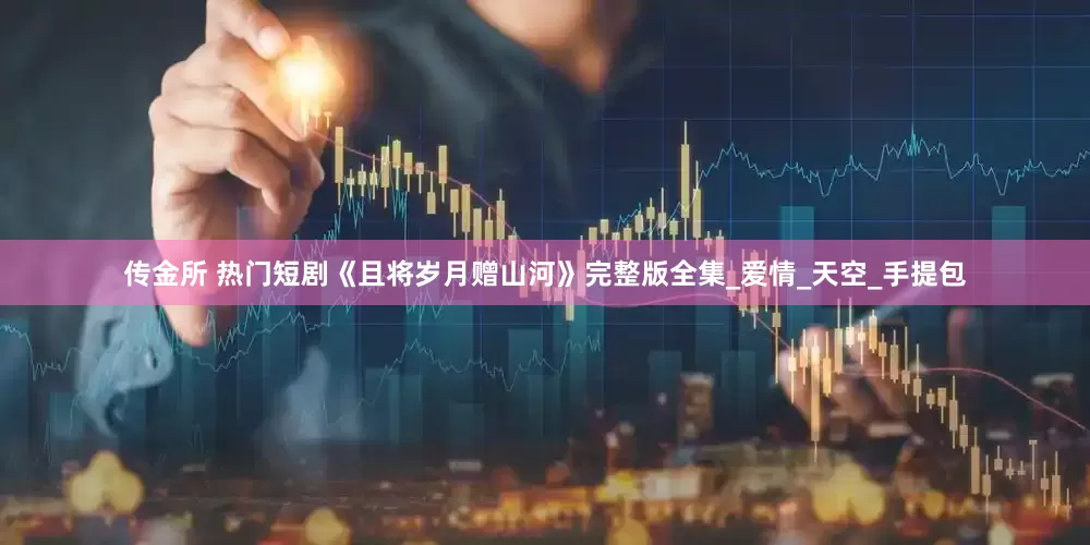 传金所 热门短剧《且将岁月赠山河》完整版全集_爱情_天空_手提包