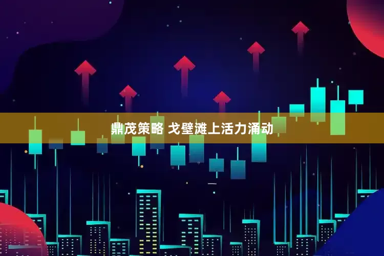 鼎茂策略 戈壁滩上活力涌动