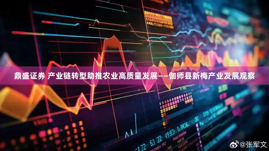 鼎盛证券 产业链转型助推农业高质量发展——伽师县新梅产业发展观察