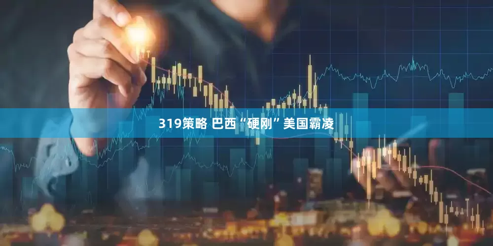 319策略 巴西“硬刚”美国霸凌